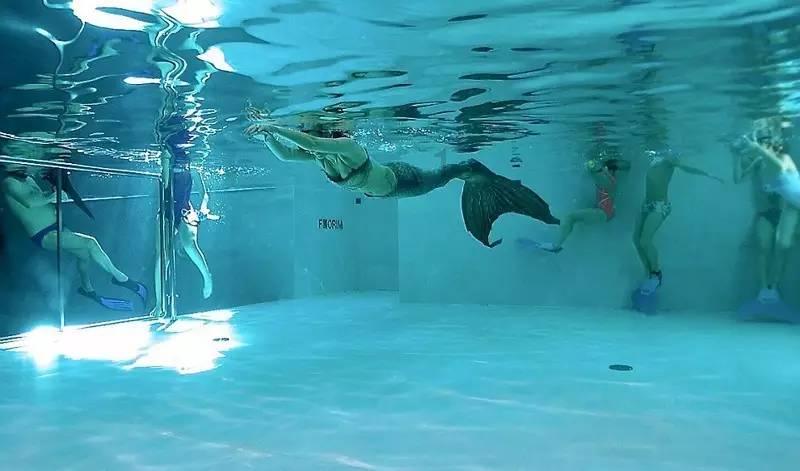 林业生物检疫防治站连续三年获评优秀测报点