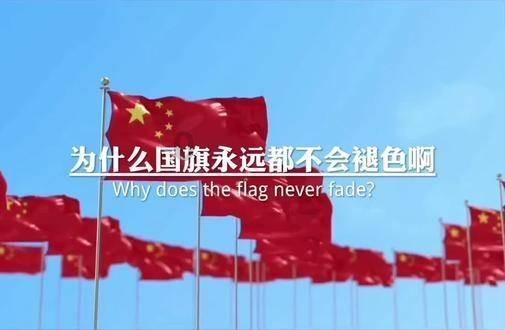 小猫钓鱼游戏龙王版有船