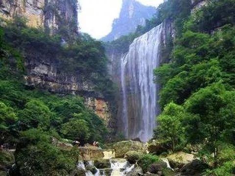 组装机械机甲暴龙2